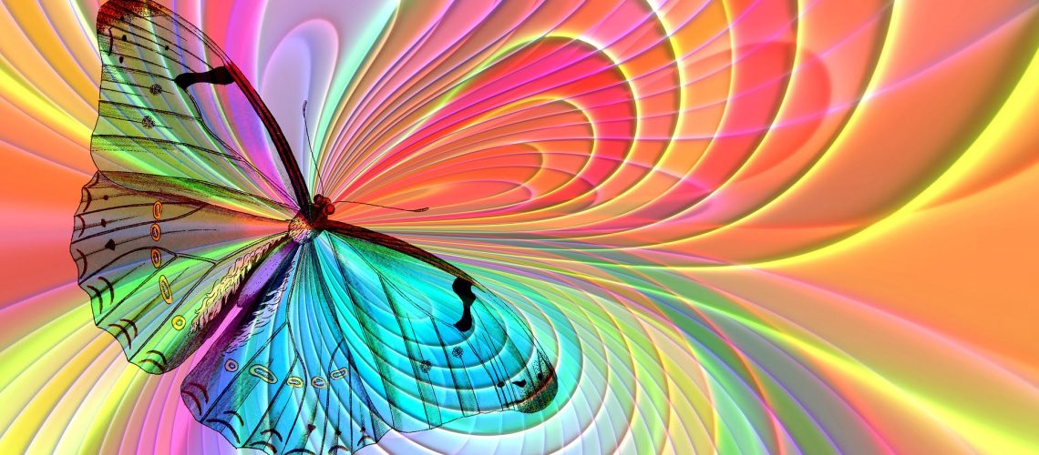 vlinder-arrangement-2772438_1920